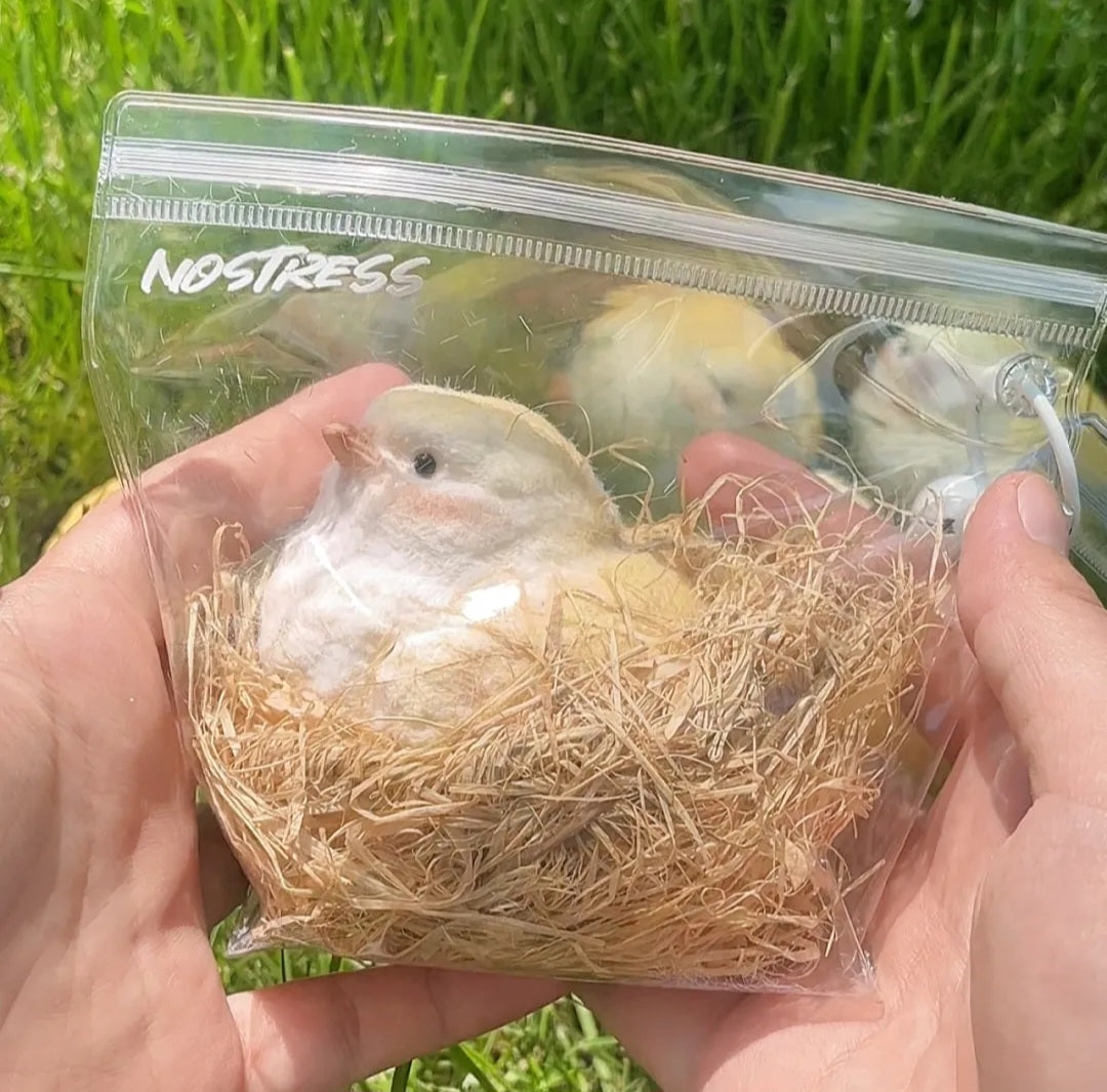 Chick and Chick Coop Silicone Taba Squishy