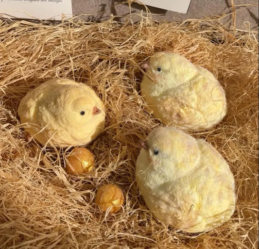 Chick and Chick Coop Silicone Taba Squishy