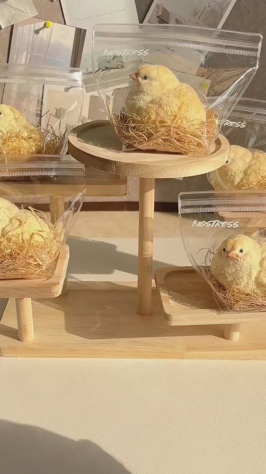 Chick and Chick Coop Silicone Taba Squishy